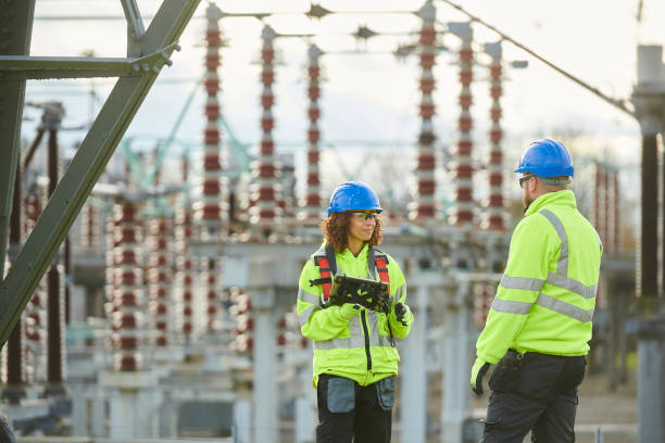 Best Generator Installation Services  in Felida, WA